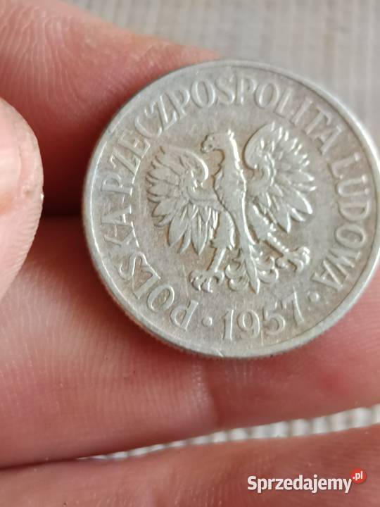 50 gr 1957r lekka skretka sprzedam Chełm