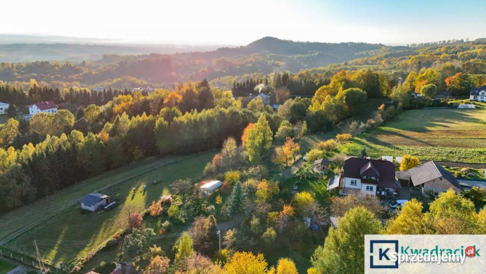 Ogłoszenie działka 1200m2 Korczyna sprzedam