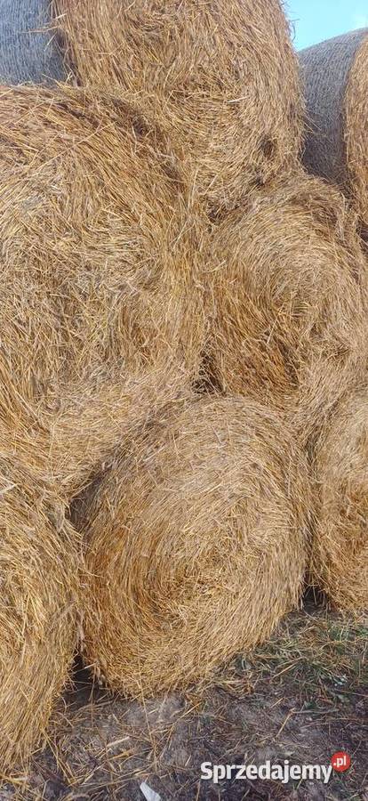 Słoma Trawy, słoma