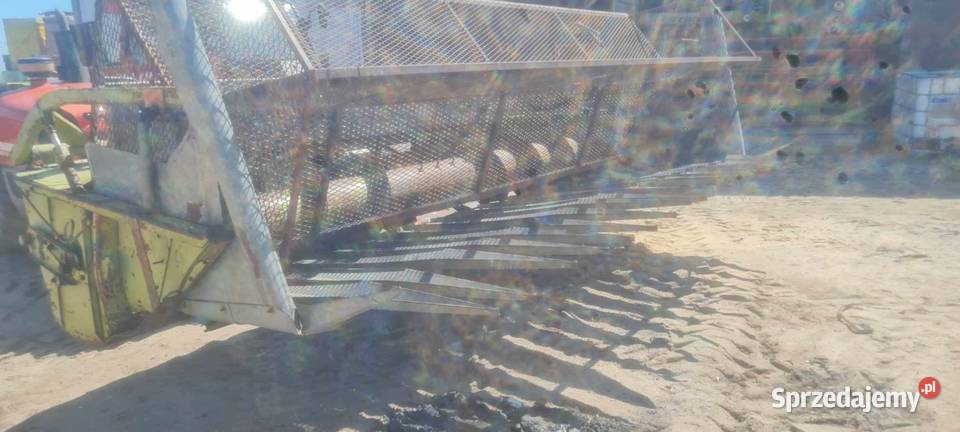 Heder do słonecznika claas nieuszkodzony