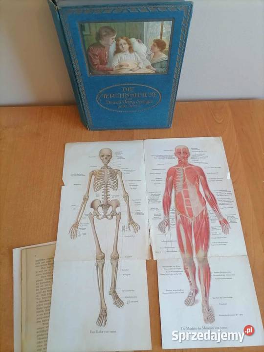 Stara Książka Domowa Lekarka 1921 Rok wydania 1921 Wałbrzych