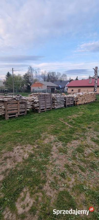 Drzewo opałowe brzoza Opał Opał