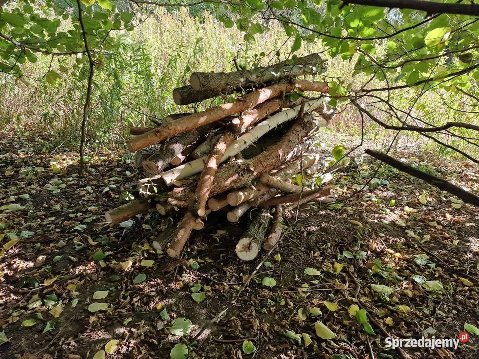 Drewno opał Łomianki