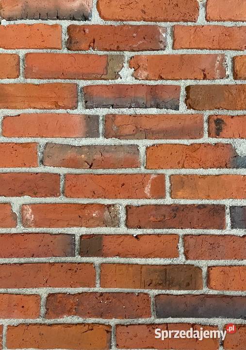 Płytki z cegły lico klasyczne EDYCJA LIMITOWANA Warszawa