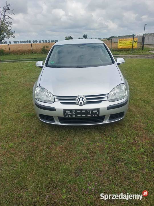 Volkswagen Golf 5 2004r Rok produkcji 2004 kujawsko-pomorskie