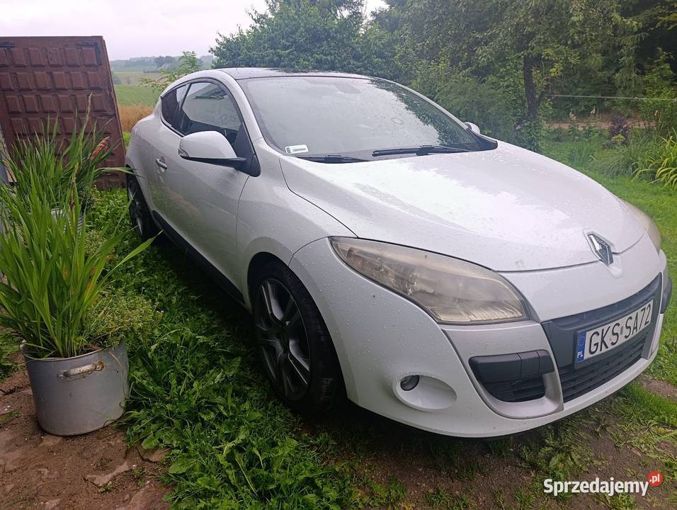 Megane 3 19dci 150 ogranicznik prędkości Jasiowa Huta