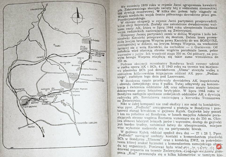 Rajdy partyzanckie w lubelskiem 19431944 Leszek Chełm