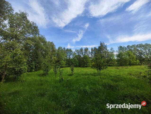 Grunt 842m Pobiedna 842m2 Sprzedaż dolnośląskie sprzedam