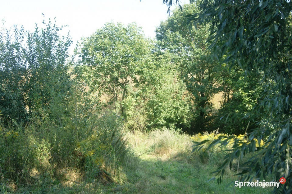 Działki budowlane w Starych Bogaczowicach utwardzona dolnośląskie Stare Bogaczowice