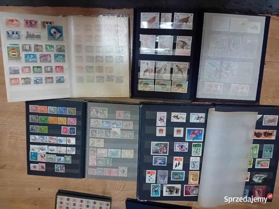 Klasery albumy ze znaczkami pocztowymi 25 Kazimierza Wielka