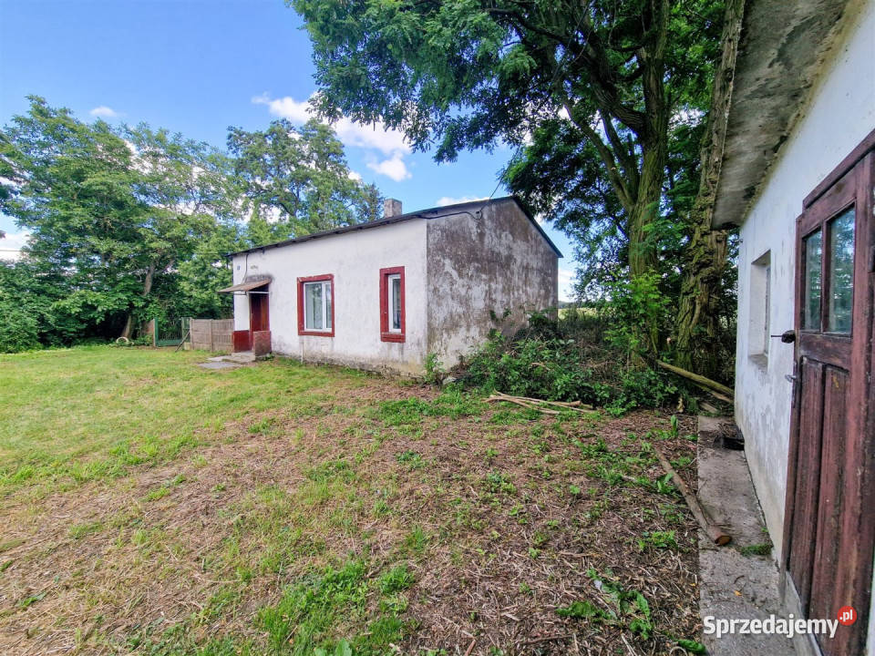 Dom sprzedam Mikołajewice 60m2 sprzedam