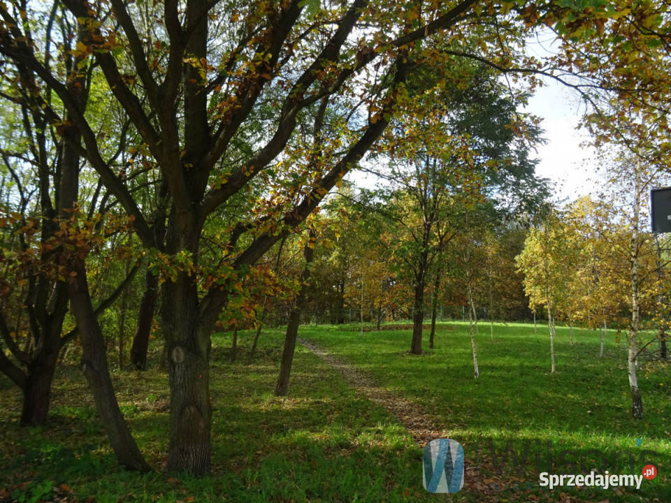 Mieszkanie 5725m2 3 pok Wrocław Maślice