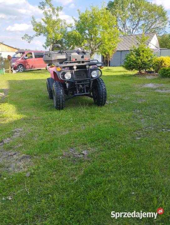 Quad Szcześniki