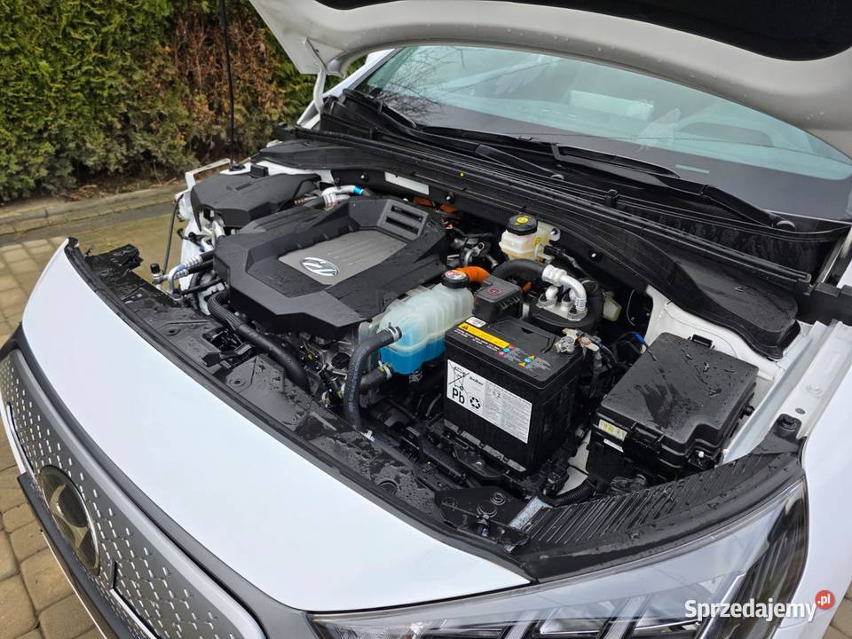 Hyundai IONIQ IONIQ podkarpackie Nowosielce