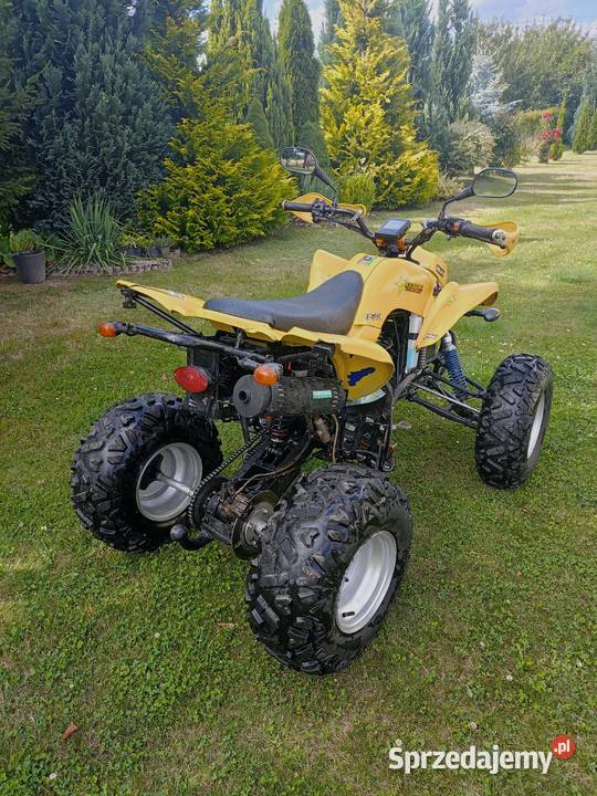 Bashan 200 Rok produkcji 2008 Świętomarz