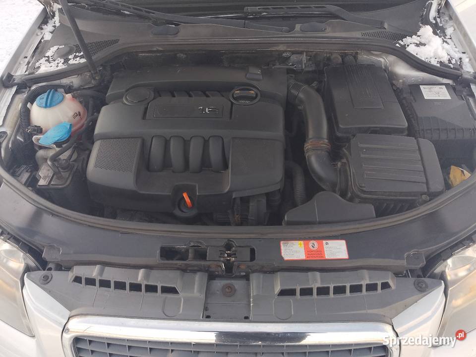 Audi a3 16mpi A3 Audi Domaszowice sprzedam