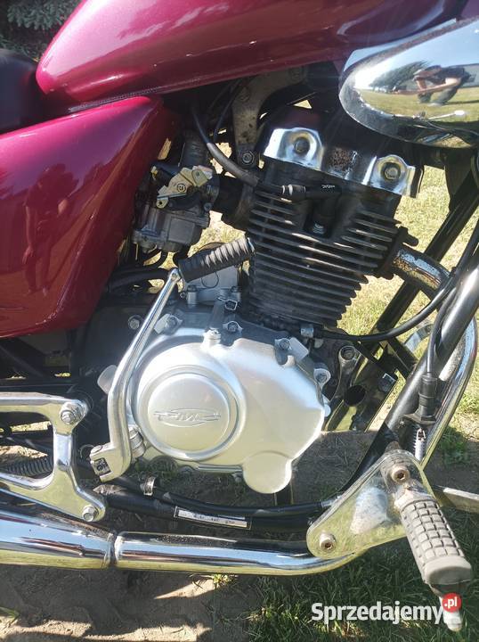 Chopper rex 125 Chełmno