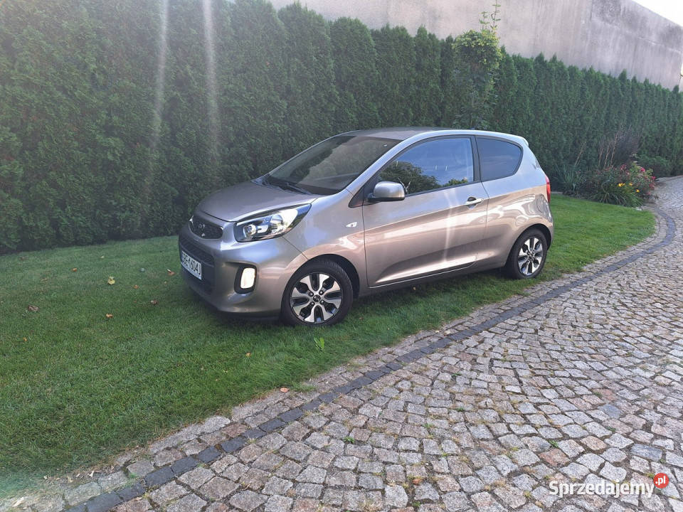 Kia Picanto DreamTeam Edition II 2011 Kia śląskie Siewierz