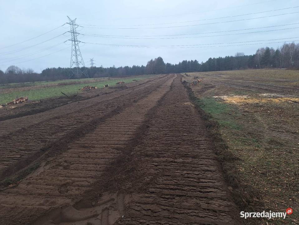 Wycinka drzew Czyszczenie działek Mulczowanie Bielsko-Biała