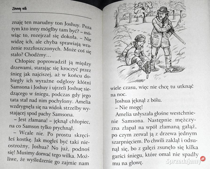 Zaopiekuj się mną Zimowy wilk Holly Webb Chełm