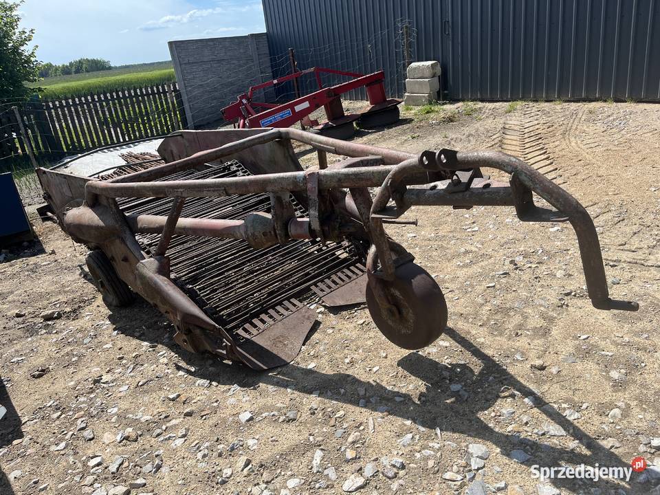 Kopaczka lubelskie Borki