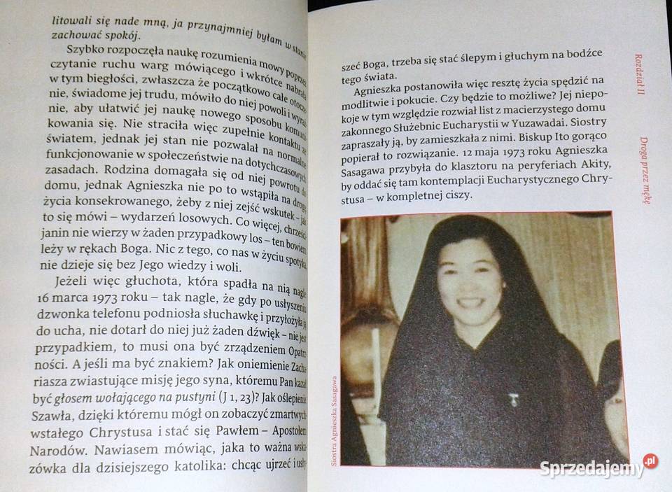 Akita Więcej ostrzeżeń nie będzie Jerzy Wolak Chełm sprzedam