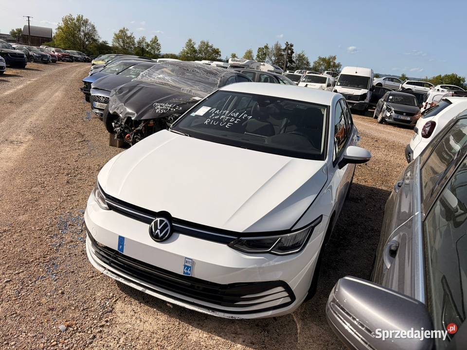 VOLKSWAGEN Golf VIII 20 TDi 116 Style GB618 Opole sprzedam