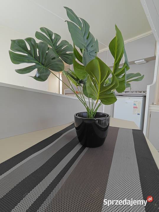 PLASTIKOWEGO OKNA DOMEK HOLENDERSKI warmińsko-mazurskie Pietrzwałd