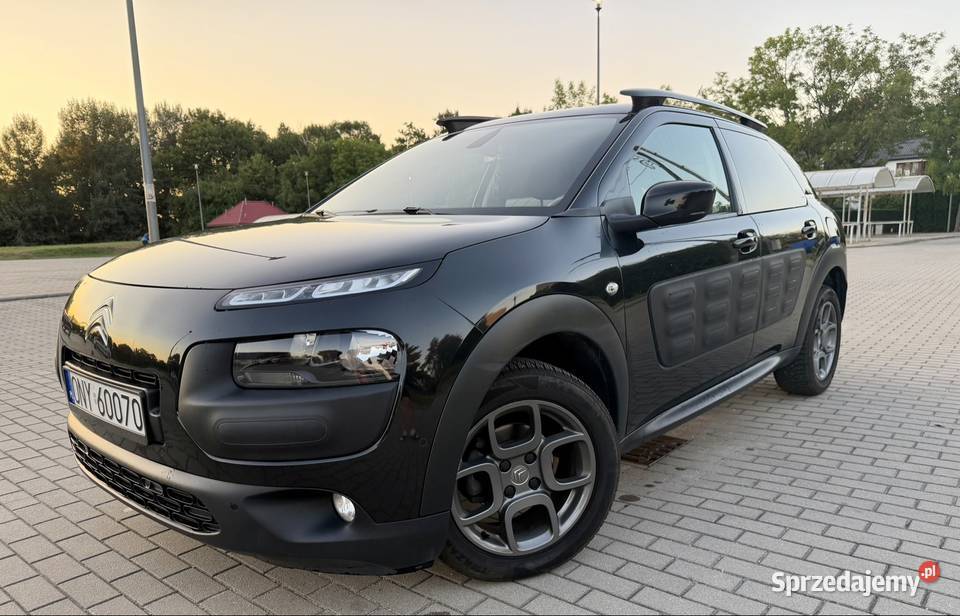 Citron C4 Cactus Nysa