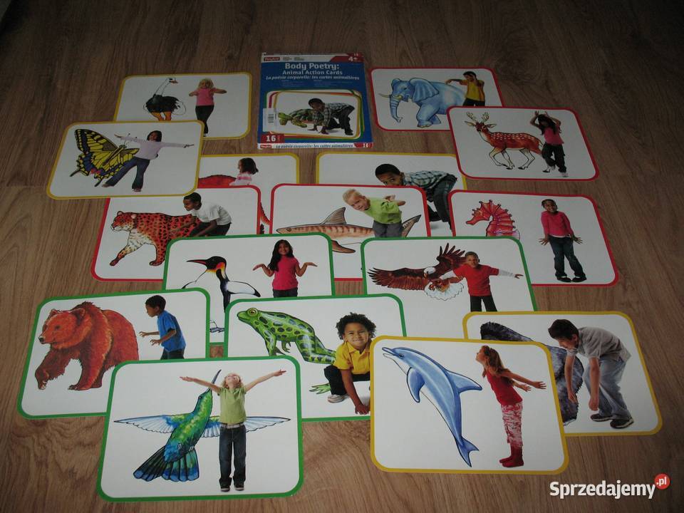 Poezja ciała naśladujemy zwierzęta Chorzów
