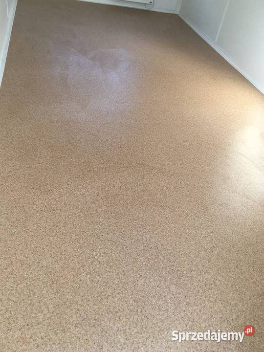 ODNOWIONY KONTENER BIUROWY MIESZKALNY 36 m Wrocław