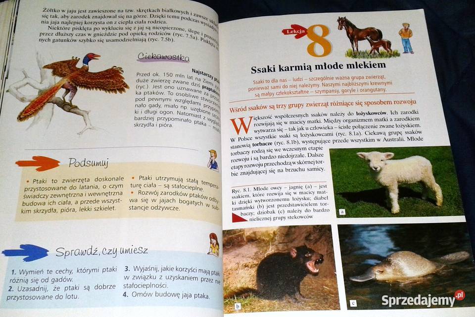 Przyrodo witaj Prawa przyrody Klasa 6 red Chełm