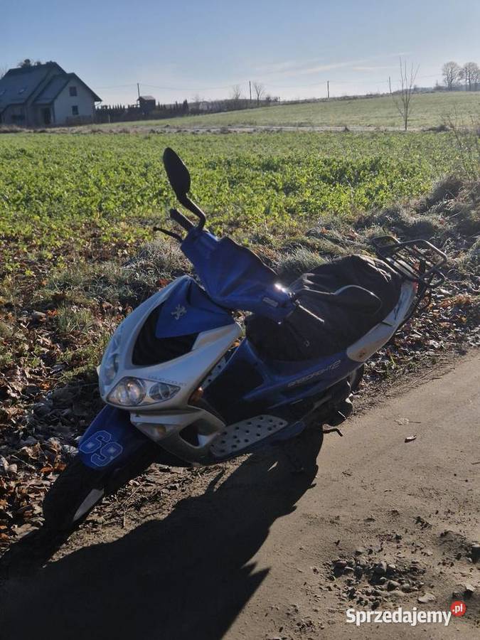 skuter peugeot speedfight 2 dwusuwowy pomorskie Nowa Karczma sprzedam