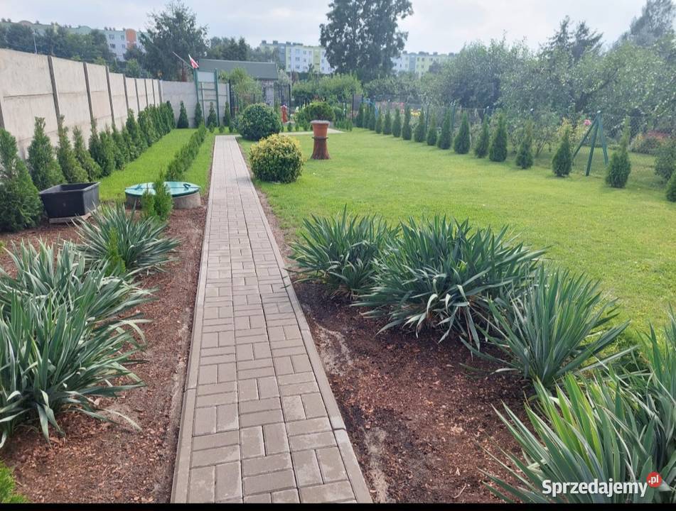 Działka ROD Sprzedaż Toruń