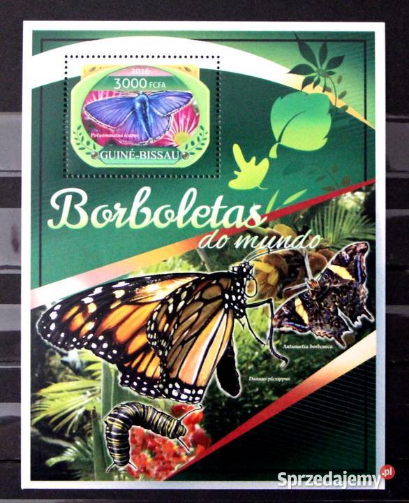 Gwinea Bissau motyl 2 Oborniki