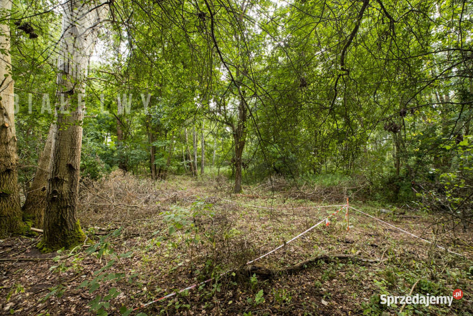 sprzedaży działki Wilcza Góra Polna 1195m2 36m mazowieckie