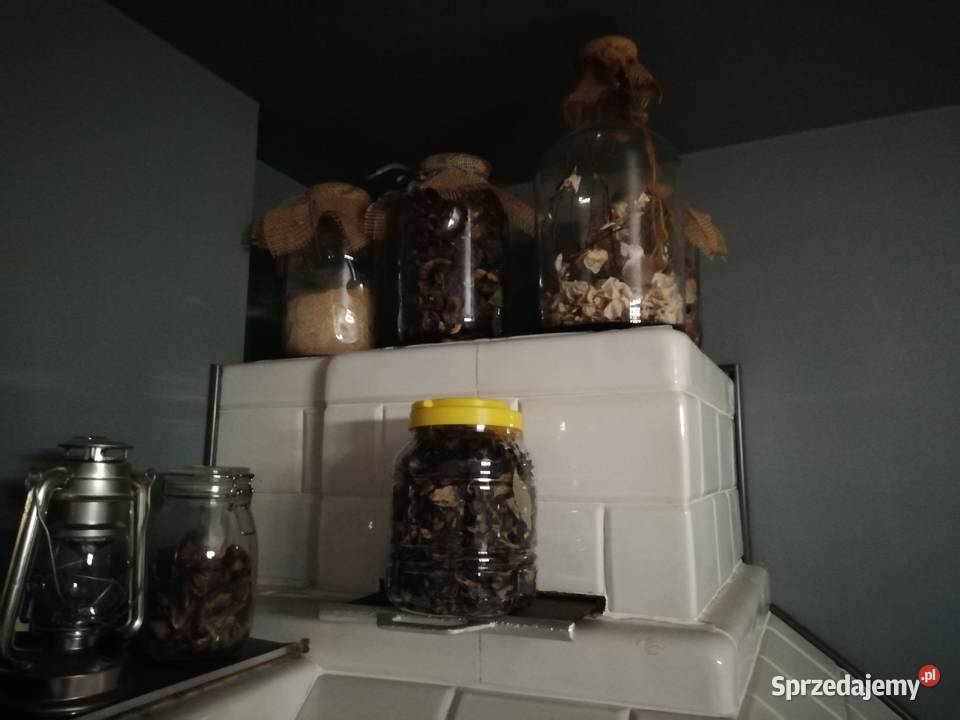 Grzyby suszone prawdziwki podgrzybki lejkowiec Leśne Chałupy