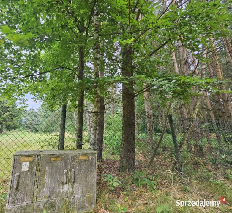 Działka budowlana 6000 m2 JEZIOROLAS asfalt Drogoszowice sprzedam
