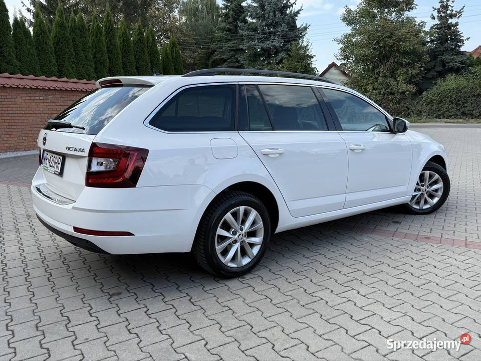 Skoda Octavia 2019 Diesel 116 DSG Świetny stan bluetooth