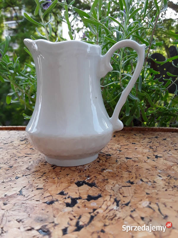 Mlecznik porcelanowy Włocławek Warszawa