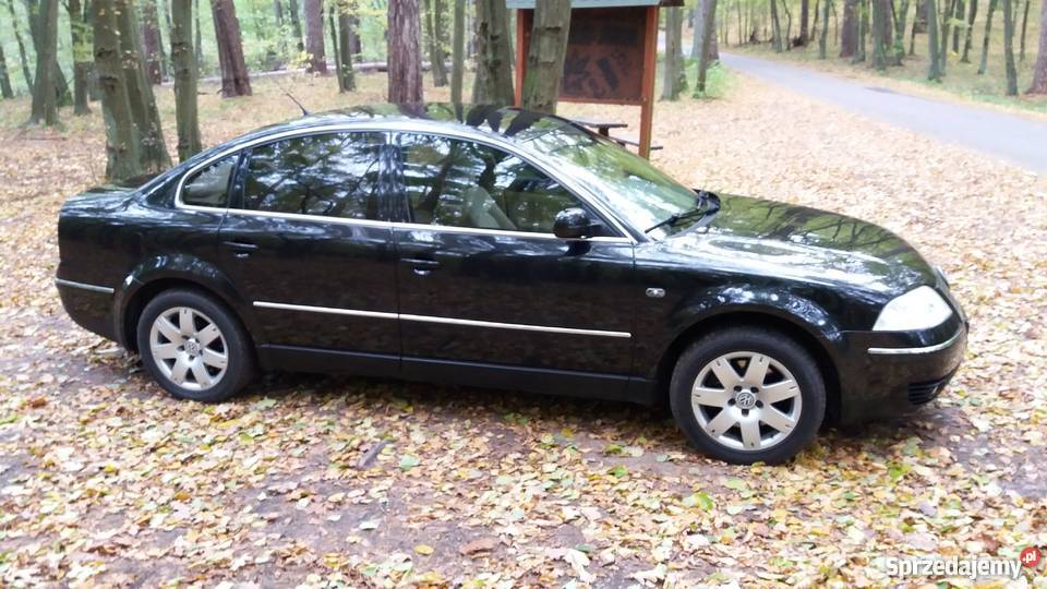 Vw Passat B5 FL 28 V6 4MotionKrajowy napęd 4x4 Lidzbark