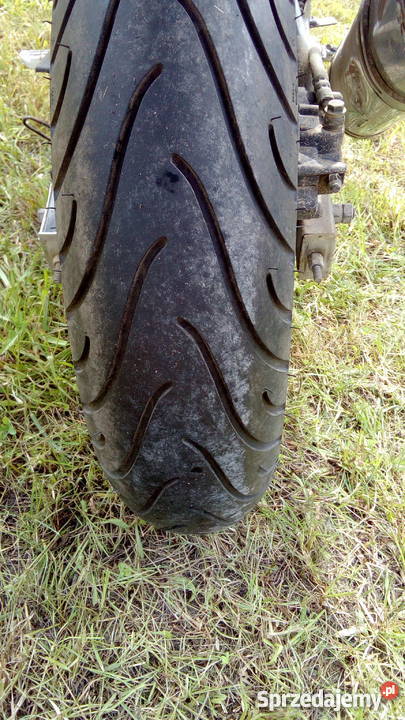 Leone rk 12550 sportowy Święcica