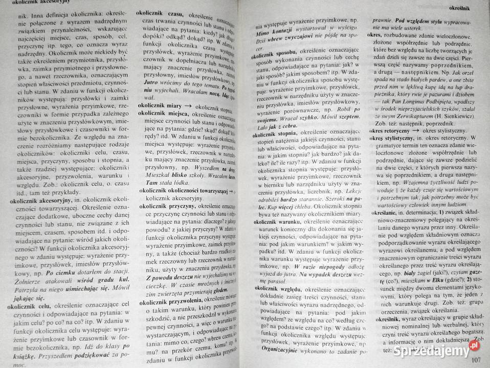 Słownik szkolny Nauka o języku Jan Malczewski Rok wydania 1990 Chełm