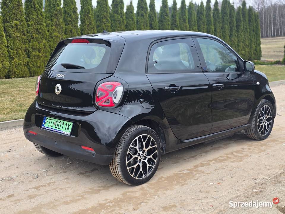 Smart For Four elektryk elektryczne lusterka Forfour Turek