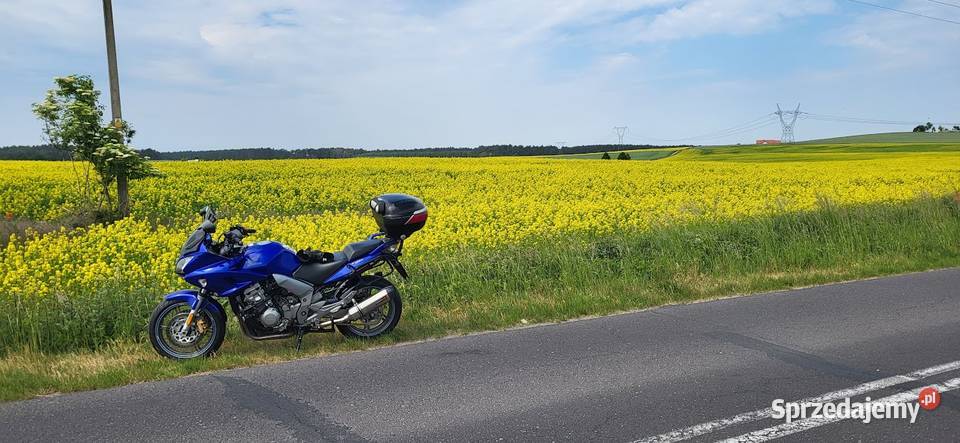 Honda CBF 1000 98KM Skwierzyna