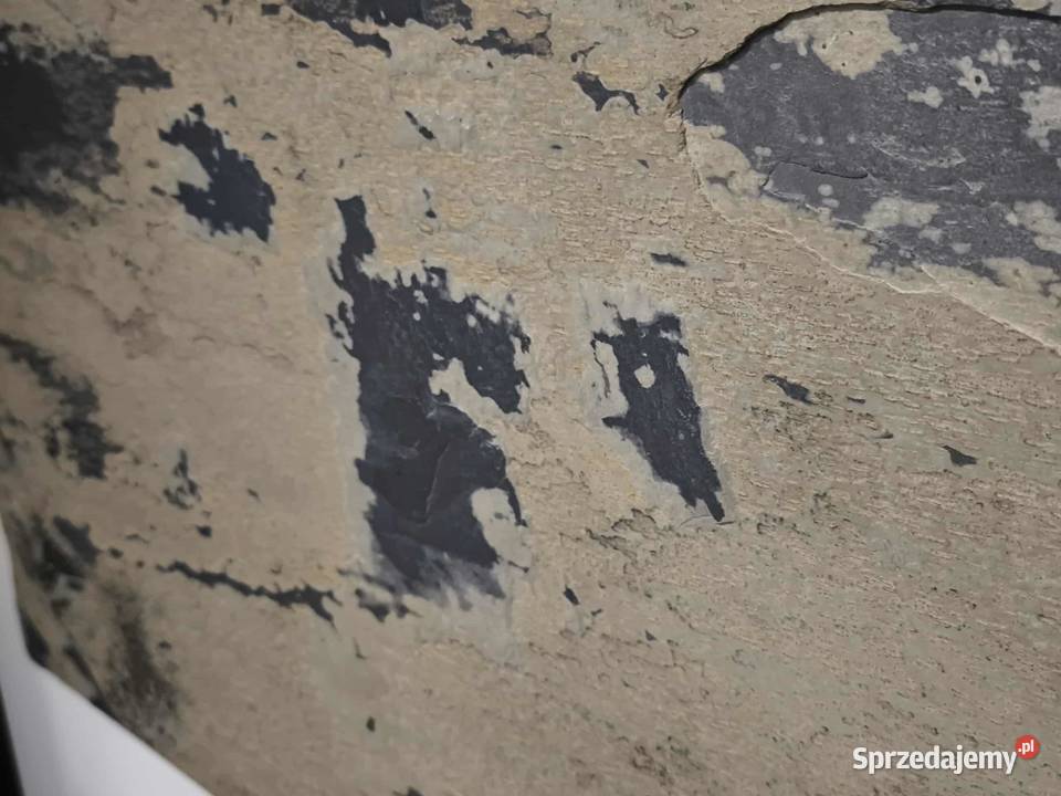 Płytki Łupek Indian Autumn Naturalny 60x40x12