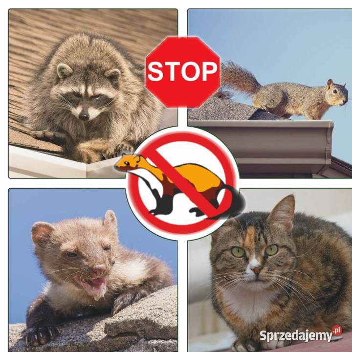 Kolce anty kuna Pozostałe Łódź sprzedam