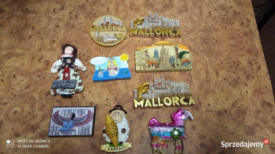 Magnez 3D na lodówkę sprzedam Dekoracje i ozdoby Wrocław