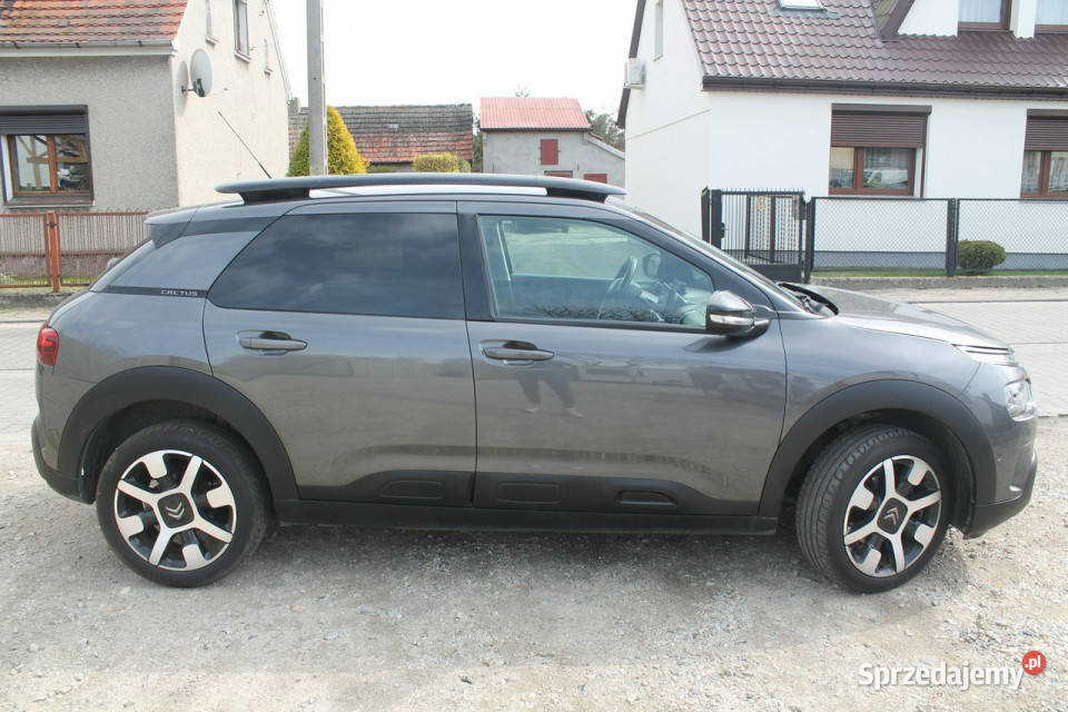 Citroen C4 Cactus I 2014 klimatyzacja wielkopolskie Ostrów Wielkopolski sprzedam
