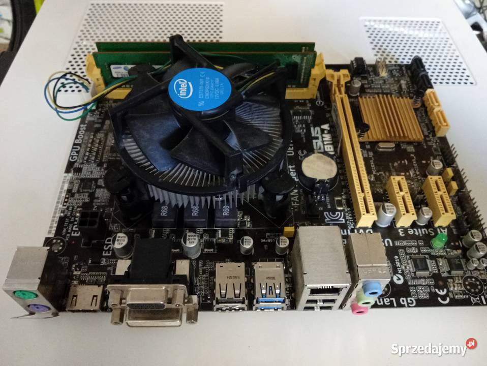 Asus H81MA Myślenice